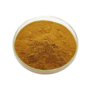 Hederacoside C de Alta Calidad / Extracto de <span class=keywords><strong>Hiedra</strong></span> / Extracto de Hoja de <span class=keywords><strong>Hiedra</strong></span> - Product Image 3