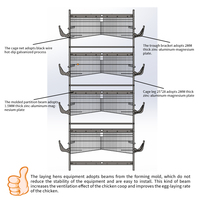 Offre Spéciale : Cages de batterie pour poulets de chair (10 000 oiseaux) pour élevages avicoles