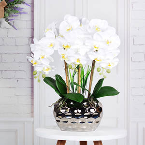 AF0571 orchidea artificiale <span class=keywords><strong>In</strong></span> <span class=keywords><strong>vaso</strong></span> orchidea bianca seta finta Phalaenopsis orchidea pianta <span class=keywords><strong>In</strong></span> <span class=keywords><strong>vaso</strong></span> fiore finto decorazione della casa disposizione - Product Image 4