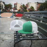 Gran calidad, último diseño, diseño personalizado, logotipo bordado, gorras de camionero, sombrero estampado, 6 paneles, gorras de camionero de espuma de malla