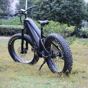 Vélo de sport électrique Fat Tire, Bafang Mid-Drive Motor Ebike, Power, Dual Battery, 1000W