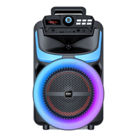 CSN-801 Enceinte portable de fête en forme de corne avec éclairage latéral RGB, Boombox d'extérieur, Meilleure vente en Amérique du Sud
