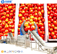 Commerciële Tomatenvruchtensap/Pasta/Saus/Ketchup Verwerking Geconcentreerde Productiemachine