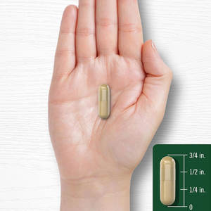 อาหารเสริมสุขภาพ <span class=keywords><strong>Bacopa</strong></span> <span class=keywords><strong>monnieri</strong></span> แคปซูล | 180แคปซูล | อาหารเสริมปราศจากกลูเตน - Product Image 3