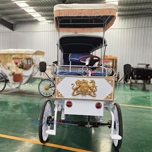 Sightseeing Carriage High Quality Electric Carriage Factory Direct Sale Low Price Three <b>Rows</b> Princess Carriage - Product Image 5
