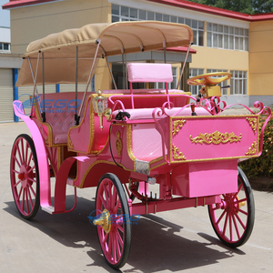 Calèche royale européenne haute performance rose pour le tourisme et les excursions – Transport spécial - Product Image 3