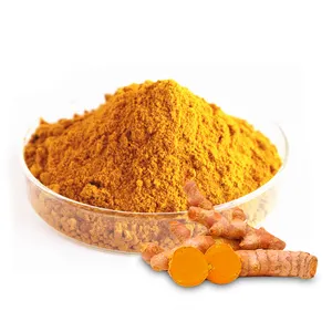 AMULYN Supply High Quality 95% Curcumin Powder Turmeric Extract