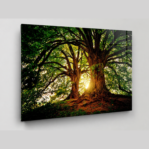 Stampa d'Arte Murale con Paesaggio al Tramonto, Immagine di <span class=keywords><strong>Natura</strong></span> per Soggiorno, Hall d'Hotel, Ufficio, Interni Moderni e Rilassanti - Product Image 5