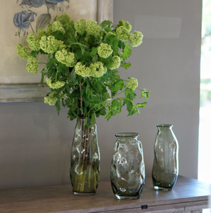 Jarrón de Vidrio Irregular Verde Claro Abierto Bixuan de Alta Gama Nórdica, Nuevo Diseño Moderno y Simple con Estilo Costero para Decoración de Mesa - Product Image 2