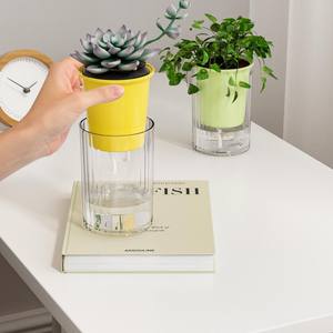Plante verte créative transfrontalière ornement de bureau <span class=keywords><strong>paresseux</strong></span> automatique Absorption d'eau succulente Pot de fleur vase hydroponique fait - Product Image 2