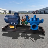 Pompe centrifuge à corps divisé stable pour la prévention des inondations urbaines, le déviationnement des rivières, l'alimentation en eau rurale, pompe à double aspiration