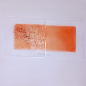 Tiras de cera de gran oferta de etiqueta privada para depilación corporal, tiras de cera de papel para eliminar el vello no deseado en segundos, tiras de cera indoloras - Product Image 1