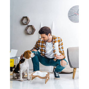 Mangkuk Anjing Keramik Tinggi dengan Dudukan Lucu Ditinggikan Miring Anti Muntah Piring Kucing Pribadi untuk Makanan dan Air - Product Image 4