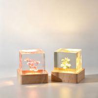 Veilleuse LED à brancher en forme de boule de cristal avec pissenlit véritable préservé, base en bois, design en résine, décoration d'intérieur, cadeau d'anniversaire