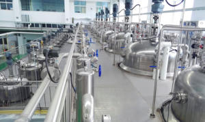 중국 생물 반응기 공급 업체 GMP 조류 생물 반응기 재배 200L 기계 교반 생물 반응기 BLBIO 200SJA - Product Image 3