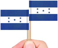 Nouvelles Décorations Personnalisées pour Cupcakes en Forme de Drapeau du Honduras et de Divers Pays, Petits Mini-Embellissements en Forme de Cure-Dents
