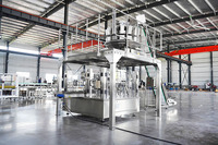 Machine à emballer rotative de poudre de protéine de farine de granule de sac préfabriqué à bas prix