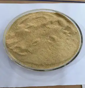 Beer Yeast powder feed additives with crude protein more than 45%