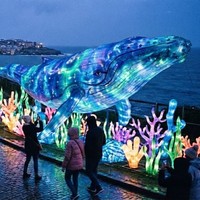 Decoración de Faroles para Parque de Atracciones de Animales, para Navidad, Uso en Interiores/Exteriores, Espectáculo de Luces para Parque Temático