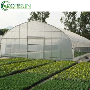 花と種子のための人気のある屋外温室ポリカーボネートアルミニウムフレームトンネル温室