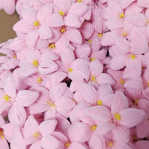 YOPIN-7705 scovolini finiti fiore di giglio all'ingrosso gigli a bacchetta intrecciata gigli decorazione per la casa regali fatti a mano <span class=keywords><strong>arte</strong></span> floreale - Product Image 2