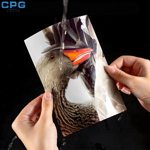 Papier photo brillant enduit de résine, 260 g/m², format A3, imperméable, en rouleau, pour studio et laboratoire, fourni directement par l'usine - Product Image 4