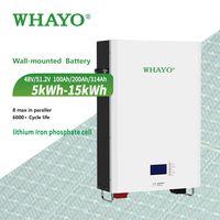 Onduleur solaire hybride Whayo standard US, monophasé, onde sinusoïdale pure, MPPT, système de protection contre la foudre IP65