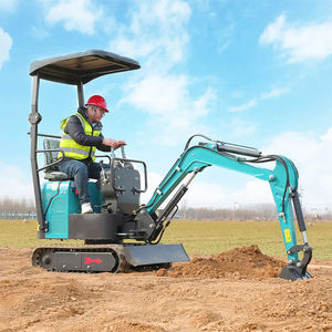 Mini-excavatrice sur chenilles de 1 tonne, compacte, pour jardin, ferme et construction, moteur Koop Euro5, pompe, usine OEM/ODM - Product Image 3