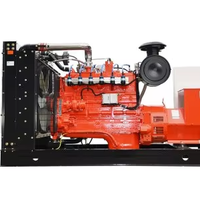 Emissionsarmes 380kW CNG-Generatorset für Städtische Öffentliche Einrichtungen & Umweltfreundliche Bauprojekte
