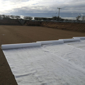 Géotextile en fibres discontinues <span class=keywords><strong>pour</strong></span> la stabilisation du sol Tissu géotextile <span class=keywords><strong>pour</strong></span> <span class=keywords><strong>allée</strong></span> de <span class=keywords><strong>gravier</strong></span> PP PET Fabir Géotextile - Product Image 6