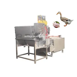 Máquina automática de abate de aves de pequena capacidade, escaldadeira e depenador automático de frango