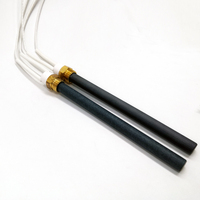 Kit pour résistance d'éclairage de poêle à granulés 350W