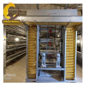 Jinmuren-jaula Para aves de corral, Jaulas Para pollos, ponedores - Product Image 4