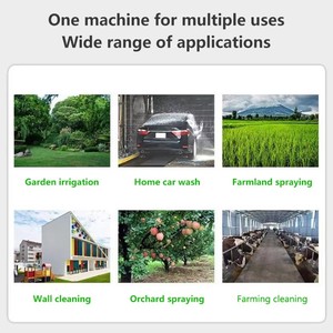 60L Agricultural Gasoline Engine <b>Power</b> Sprayer HL-60L Farm Pump Spray with High Pressure <b>Hose</b> - Product Image 5