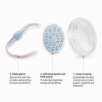 Lumières LED RGB programmables DC24V 60mm pour décorations de manèges, parcs à thème et grandes roues