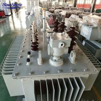 Transformateur de distribution immergé dans l'huile SinoShine Grid Use S20 à haute efficacité 10 kV entièrement en cuivre