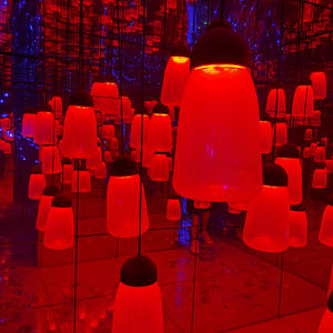 <span class=keywords><strong>Laberinto</strong></span> <span class=keywords><strong>de</strong></span> espejo interior <span class=keywords><strong>de</strong></span> atracción para adultos a la venta para paseos en parques <span class=keywords><strong>de</strong></span> atracciones y centros comerciales - Product Image 5