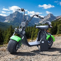 Scooter électrique Harmonywin Sportbikes certifié EEC COC 1000W/2000W |   Vitesse de 40 à 60 km/h |   Trottinette électrique pour adultes 60V