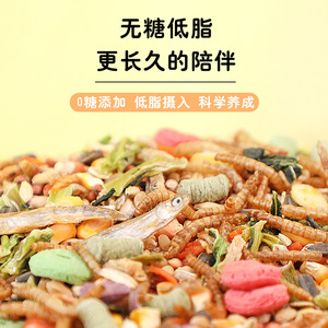 Alimento para Hámsteres, Granos Nutritivos, 160g, Ecológico, Suministros para Animales Pequeños - Product Image 2