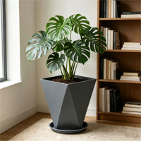 Pot de fleurs carré en plastique durable avec trou de drainage auto-arrosant, capacité de 36 L, pour plantes d'extérieur, plantes d'intérieur, design minimaliste