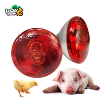 LuckyHerp Lampe infrarouge en verre rouge pour reptiles, lumière chauffante jour/nuit 250W, style classique, pour poulets et reptiles, usage intérieur