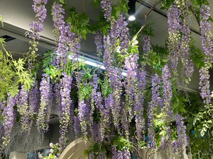 Décoration de fête de mariage CM-TH357 fleur longue branche <span class=keywords><strong>Wistaria</strong></span> 175cm soie glycine fleurs suspendues - Product Image 6