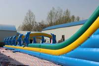 WINSUN Toboggan aquatique gonflable géant bleu dauphin pour enfants, conception personnalisée pour parc aquatique