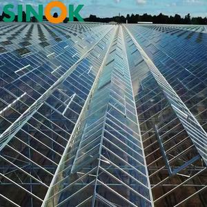 โรงเรือนเพาะปลูกพืชผลทางการเกษตรแบบกระจกนิรภัยชนิด Sinok Venlo พร้อมโครงเหล็กชุบสังกะสีแบบจุ่มร้อน โรงเรือนปลูกมะเขือเทศขนาดใหญ่แบบหลายช่วง - Product Image 3
