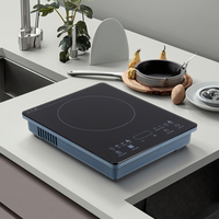 Table de cuisson à induction portable 2800W, commande tactile, panneau en cristal, usage domestique et commercial