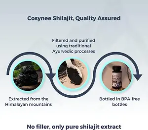 Biocaro OEM Shilajit Capsule Himalayan Shilajit Resin 85 Minerals Brain Support Enhance Male Strength Shilajit Extract Capsules