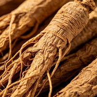 Racine de Salvia Miltiorrhiza séchée (Danshen) – Matière première végétale pour tisanes, boissons fonctionnelles, aliments naturels et additif antioxydant