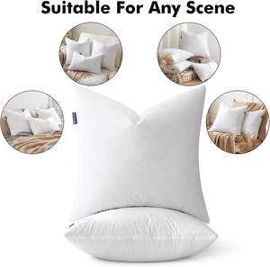 MIULEE moderne 22x22 oreillers en plumes <span class=keywords><strong>d</strong></span>'<span class=keywords><strong>oie</strong></span> 100% coton ensemble de couverture soutien du cou doux <span class=keywords><strong>moelleux</strong></span> inserts <span class=keywords><strong>d</strong></span>écoratifs canapé-lit salon - Product Image 5