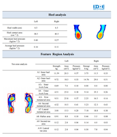 Static and Dynamic Plantar Pressure Plate for Gait Analysis With High-density Sensor Custom Insoles