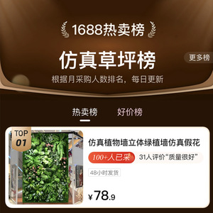 Mur végétal artificiel Greenway, 1 mètre carré, mur vert en plastique, décoration intérieure, style campagnard luxuriant et humide - Product Image 4